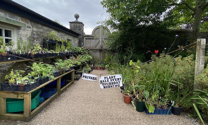 Cowbridge Physic Garden
